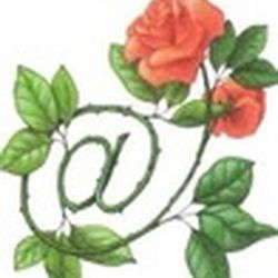 Аватар пользователя wika