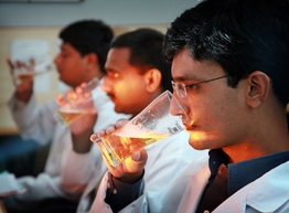 Статья: В Индии изобрели целебное пиво