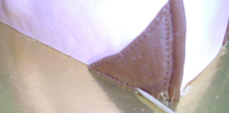 Шаг №22 МК Торт - сумочка от Annula