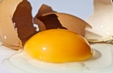 О пользе яиц и яичной скорлупы вне кухни