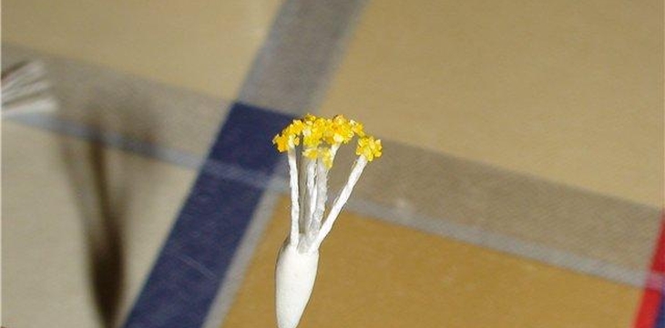 Шаг №12 МК Маленькие цветочки для букетиков от kopusha