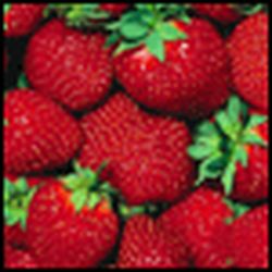 Аватар пользователя аленко