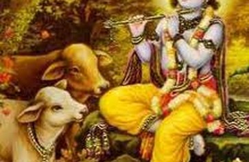 Статья: Самые распространенные мифы о вегетарианстве