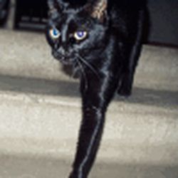 Аватар пользователя Semer