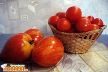 Шаг 1: Выбрать томаты для консервирования и …