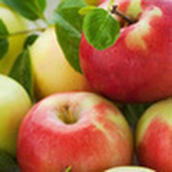 Аватар пользователя Nikoza