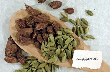 Статья: Царская специя кардамон