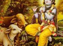 Самые распространенные мифы о вегетарианстве