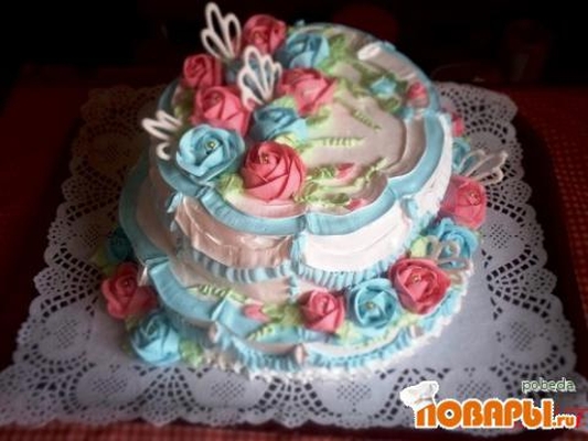 Фото «Розы »