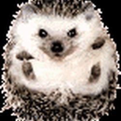 Аватар пользователя Shmouble