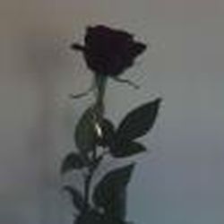 Аватар пользователя Lesia23