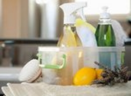 Статья: Продукты питания вместо чистящих средств