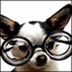 Аватар пользователя zevs