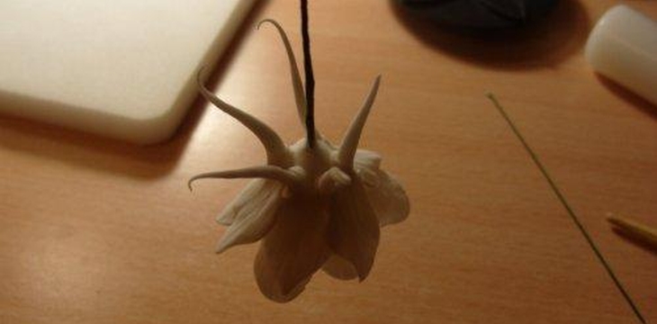 Шаг №27 МК Аквилегия от Учредительница