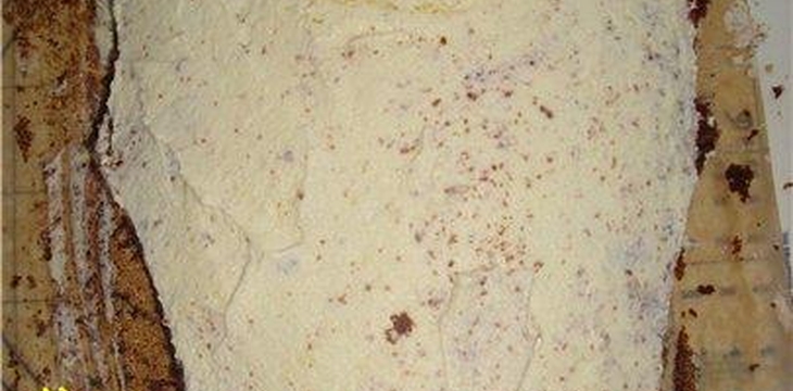 Шаг №9 МК Шрек от OljaN