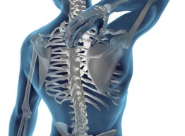 Рациональное питание для суставов и позвоночника