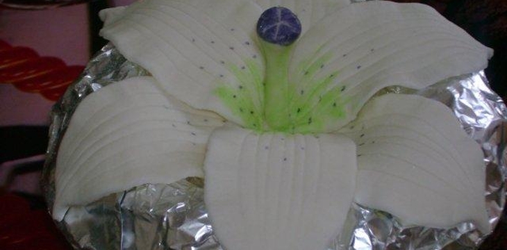 Шаг №11 МК Лилия от Annula