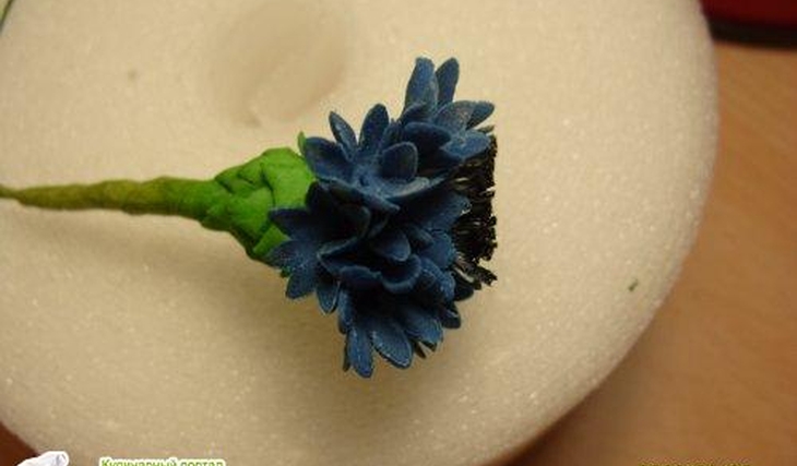 МК Василёк от Учредительница