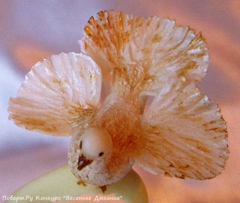 Фото «Торт "Весна идет"»