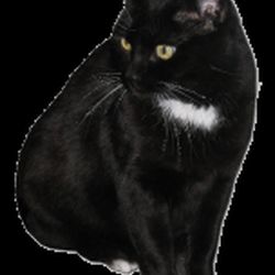 Аватар пользователя Братишка