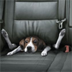 Аватар пользователя natre