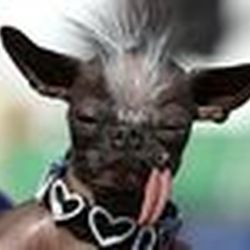 Аватар пользователя Vladic