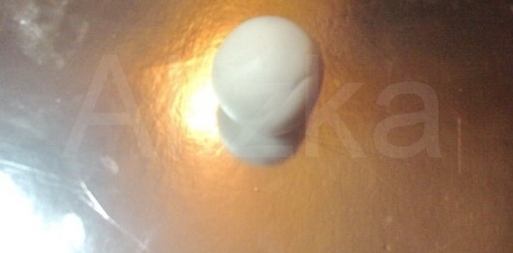 Шаг №12 Маша и Медведь от alizka