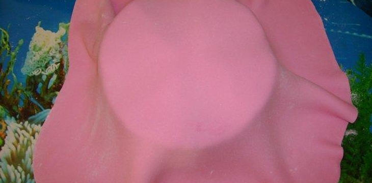 Шаг №3 МК Торт Балерина от Annula