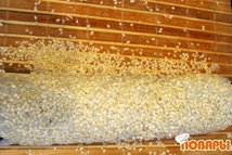 Шаг 4: Обсыпаем получившуюся колбаску зернами кунжута …