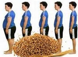 Статья: Гречневая каша для быстрого похудения