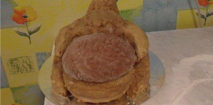 Шаг №3 МК Белка Ледниковый период