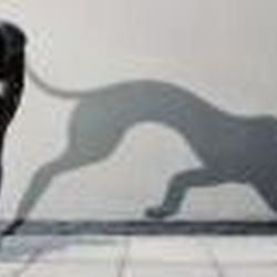 Аватар пользователя КошкаЯ