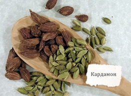 Статья: Царская специя кардамон