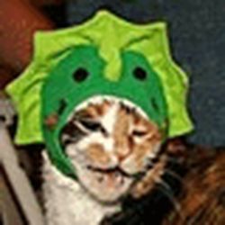 Аватар пользователя utisgica