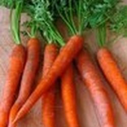 Аватар пользователя Alynor