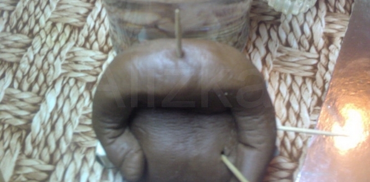 Шаг №18 Маша и Медведь от alizka