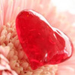 Аватар пользователя povar-ok