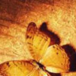 Аватар пользователя Наталусик