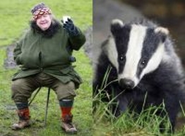 Статья: Совет от Клариссы Диксон Уайт: ешьте… барсуков!!!