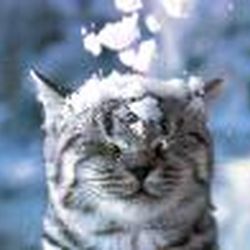 Аватар пользователя Bukochka