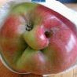 Аватар пользователя Цыпа