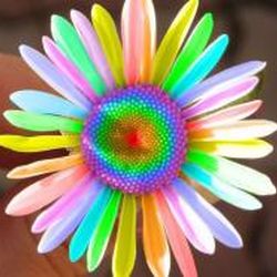 Аватар пользователя Svetik7cvetik