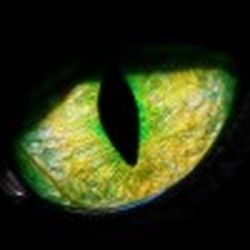 Аватар пользователя Анта