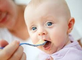 Как правильно вводить прикорм, если ребенок - аллергик?
