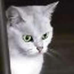 Аватар пользователя katywa