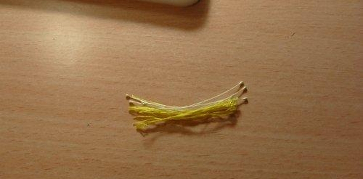 Шаг №2 МК Аквилегия от Учредительница