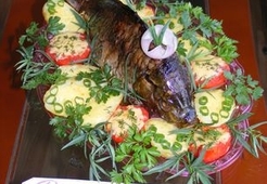 Величественный карп