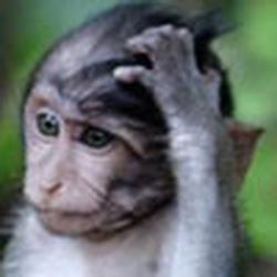 Аватар пользователя Ласточка