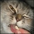 reiramatymc