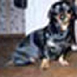 Аватар пользователя Stasya